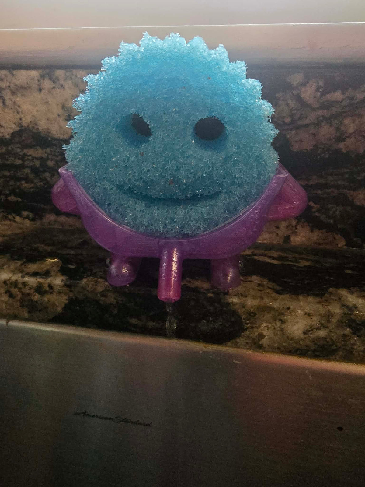 Sponge holder on a kitchen sink